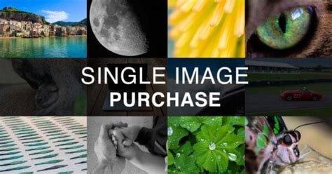 single image steven litton digital media specialist