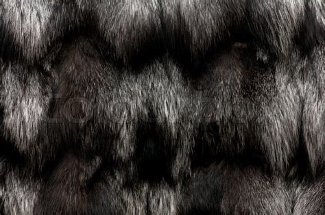 black fur texture closeup  beautiful   background stock photo colourbox
