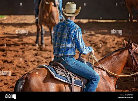 horse  rider   western style equestrian cutting competition stock photo alamy