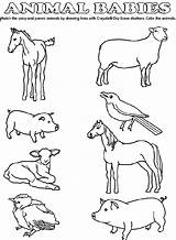 Baby Match Animal Coloring Pages Crayola Animals Their Au Drawing sketch template