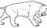 Sable Dientes Tigre Prehistórico Depredador Etiqueta sketch template