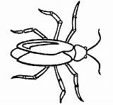 Cockroach Coloring Pages Primarygames Insects Coloringcrew Insect Color Kids Colorear Para Cucaracha Cliparts Imagen Library Clipart sketch template