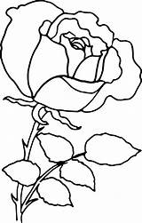 Outline Rose Flower Drawing Transparent Clipart Line Clip Medium Plant Svg Roses Outlines Openclipart Purple Pngkey Library Clipartix Autocad Dxf sketch template