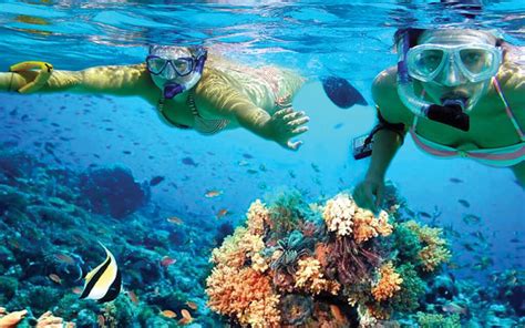 cancun snorkeling  snorkeling  cancun cancun tours cancun