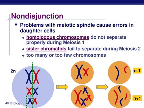 Ppt Ch 15 Errors Of Meiosis Chromosomal Abnormalities Powerpoint