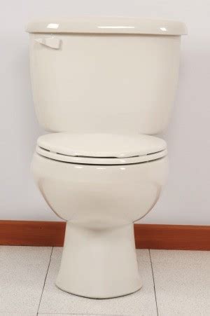 toilet  flushing properly thriftyfun