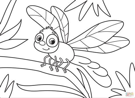 dragonfly coloring page  printable coloring pages