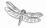 Dragonfly Coloring Dragon Pages Outline Drawing Flying Getdrawings Choose Board Clipart sketch template