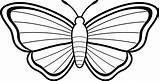Moth sketch template