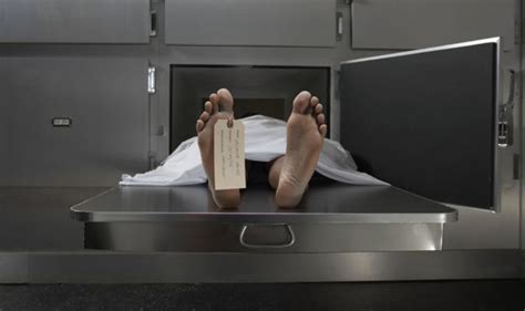 dead woman  morgue fridge discovered   alive science news expresscouk