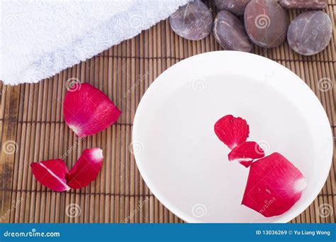 rose spa stock image image  purity nature pampering