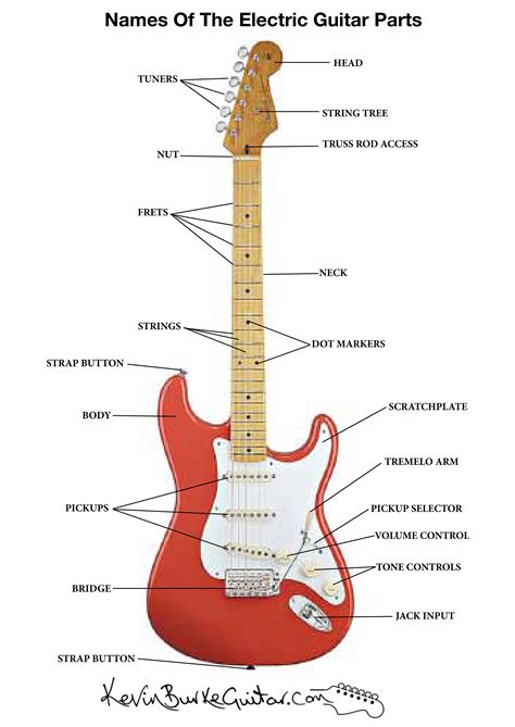diagram  electric guitar parts
