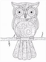 Kleurplaten Owls Uil Uilen sketch template