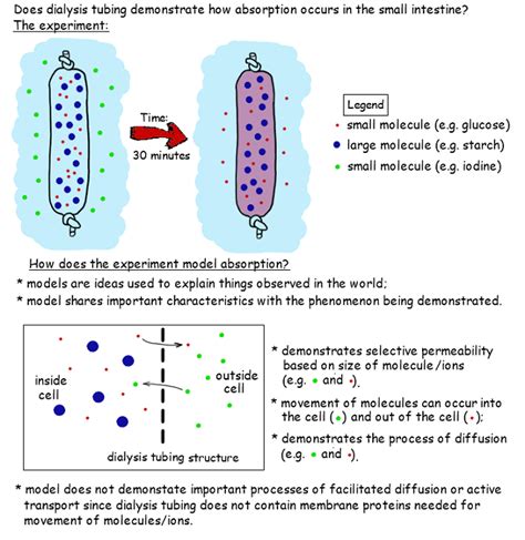 unit  biology