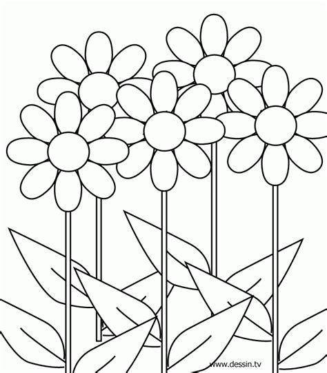 girls flowers coloring pages   girls flowers coloring