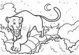 Panther Coloring Printable Pages Cat sketch template