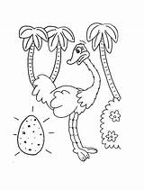 Ostrich Egg Coloring Dinosaur Getdrawings Pages Getcolorings Colorluna sketch template