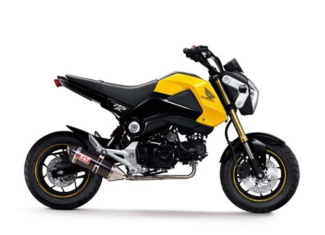 fuel efficient motorcycles   buy