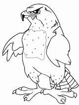 Falcon Coloring Mascot Pages Falcons Drawing Color Line Supercoloring Getdrawings sketch template