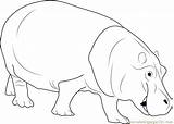 Coloring Hippopotamus Pages Color Coloringpages101 Getcolorings sketch template