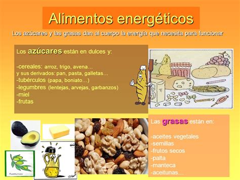 Alimentos Energéticos Imágenes E Información Completa