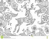 Coloring Deer Pages Floral sketch template