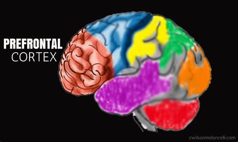 transform into a wave of flow with eeg neurofeedback