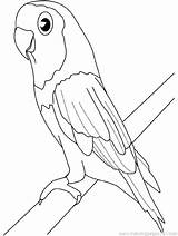 Parrot Coloring Pages Cute Getcolorings sketch template