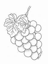 Grapes Fruit Aplikacje Haft Uva Wzory Obrazy Raisin Uvas Digi Haftów Stemple Stemplowanie Plakat Bordar sketch template