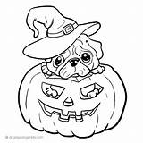 Coloring Pages Pug Dog Halloween Printable Pugs Puppy Corgi Pig Colorear Para Jack Kids Cool Pumpkin Book Print Lantern Books sketch template