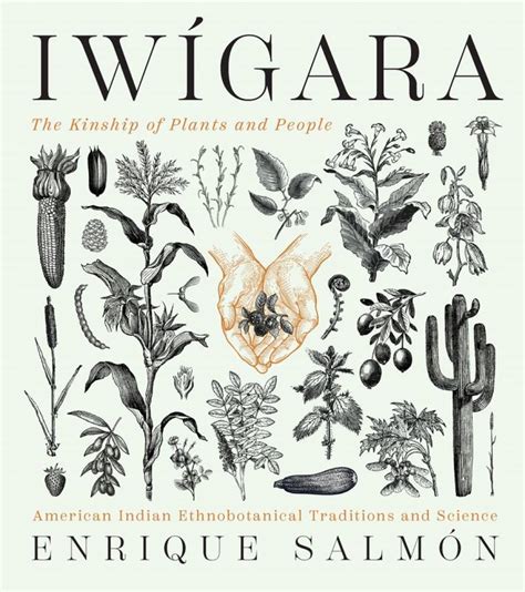 iwigara american indian ethnobotanical traditions and microcosm