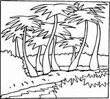 Palmeras Palmeira Vegetation Coloriage Palmier Kokospalmen Colorare Palma Ausmalbild Umriss Disegno Palme Palms Malvorlage Palmwedel Pintar Imprimé Supercoloring sketch template