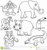 Animais Africanos Mamiferos Dieren Mamíferos Animali Africains Selva Elefante Coloritura Africani Macaco Colouring Links Fauna sketch template