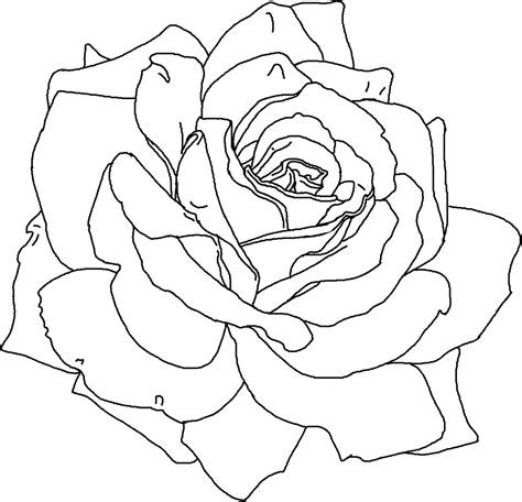 print rose flower coloring pages printable printable