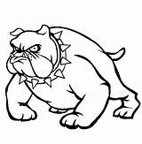 Coloring Bulldog Pages Pitbull Georgia Bulldogs Bull English Puppy Necklace Vicious Drawing Terrier American Head Spikey Wearing Color Puppies Getdrawings sketch template