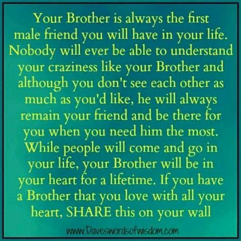 quotes about brothers protecting sisters quotesgram