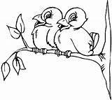 Kleurplaten Disegni Uccelli Malvorlagen Ast Vogelpaar Mewarnai Kleurplaat Colorare Bambini Oiseau Nordisch Ramo Ave Uccellini Coloriages Malvorlage Animaatjes Vogelhaus Burung sketch template