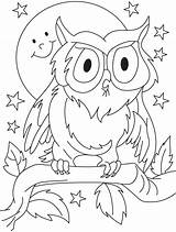 Coloring Owl Pages Kids Outline Summer Preschool Owls Drawing Colouring Cute Printable Sheets Preschoolers Clipart Color Opossum Bird Mandala Library sketch template