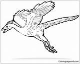 Archaeopteryx Dinosaurs 223px 03kb sketch template