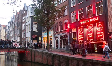 30x Amsterdam Fun Facts Did You Know This About The
