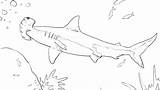 Shark Coloring Pages Great Scary Color Printable Realistic Nautical Getcolorings Kids Print Getdrawings Colorings sketch template