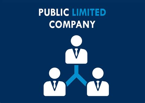 public limited company river intellect solutions