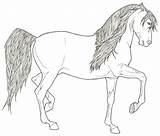 Coloring Pages Andalusian Friesian Horses Stallion Rearing Realistic Shire Deviantart Color Getcolorings Favourites Add Template Printable sketch template