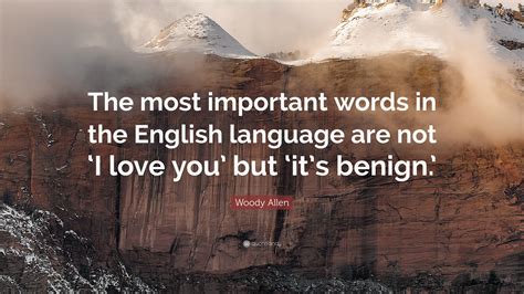 woody allen quote   important words   english language