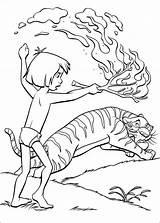 Selva Ausmalbilder Giungla Dschungelbuch Shere Pintar Dschungel Mowgli Malvorlagen Colorare Shir Vor Fuoco Angst Ausmalbild Feuer Paura Tegninger Websincloud Baloo sketch template
