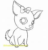 Chihuahua Coloring Pages Chiwawa Bow Dog Cute Drawing Printable Getcolorings Kids Color Cartoon Netart Book Colorings Getdrawings Print Comments sketch template