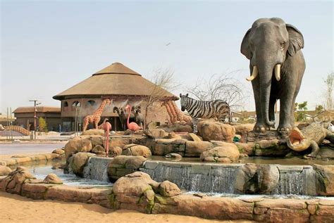dubai safari park uncovered discover  magic