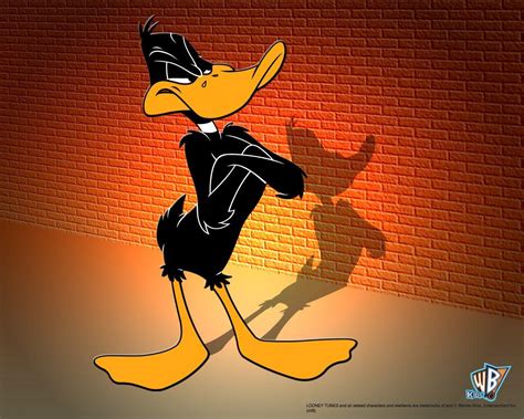 daffy duck wallpapers top  daffy duck backgrounds wallpaperaccess