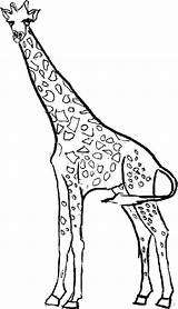 Giraffe Coloring Pages Kids Giraffes Printable Outline Color Drawing Realistic Clipart Animal Adults Colouring Print Giraf Girraffe Getcolorings Clipartbest Getdrawings sketch template