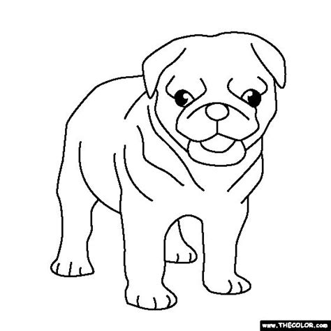 pug puppy coloring page puppy coloring pages dog template pug puppy